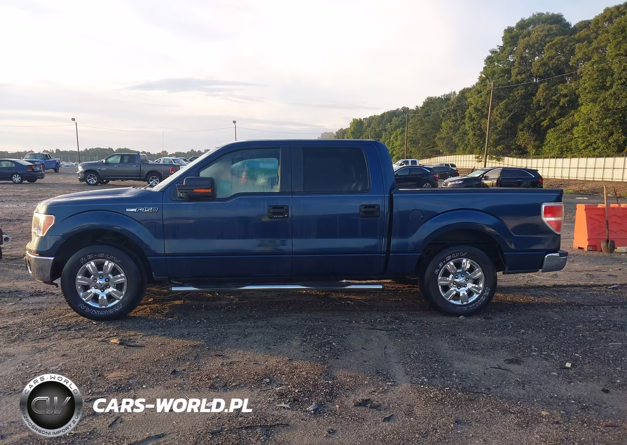 2013 Ford F-150 Xlt VIN:1FTFW1CF0DKE94403 - 14