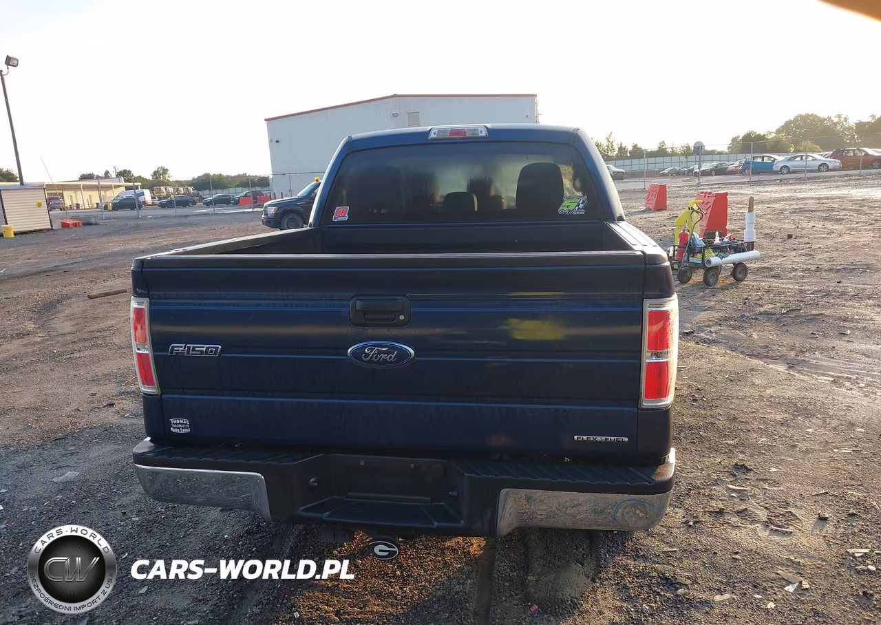 2013 Ford F-150 Xlt VIN:1FTFW1CF0DKE94403 - 16