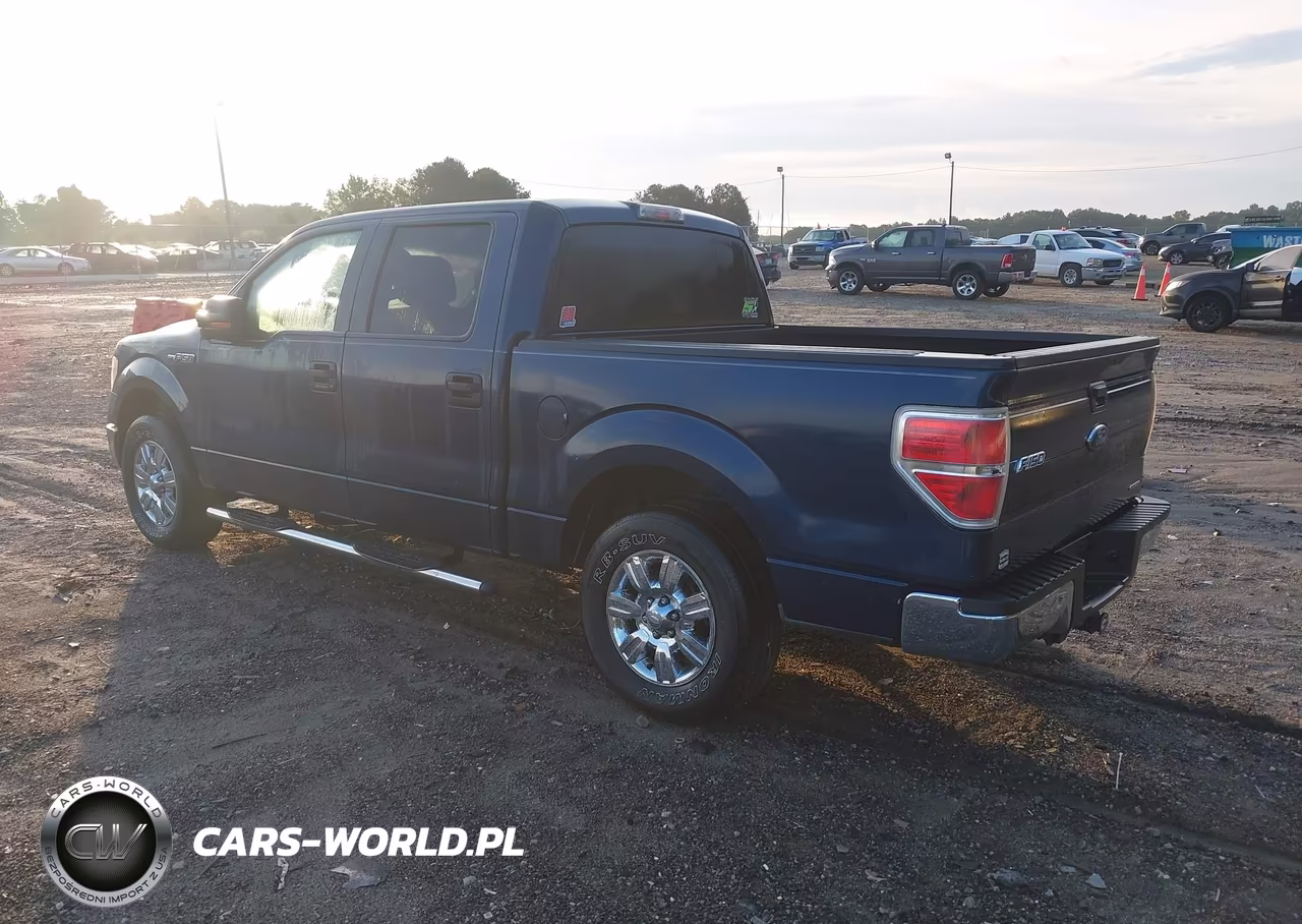 2013 Ford F-150 Xlt VIN:1FTFW1CF0DKE94403 - 3