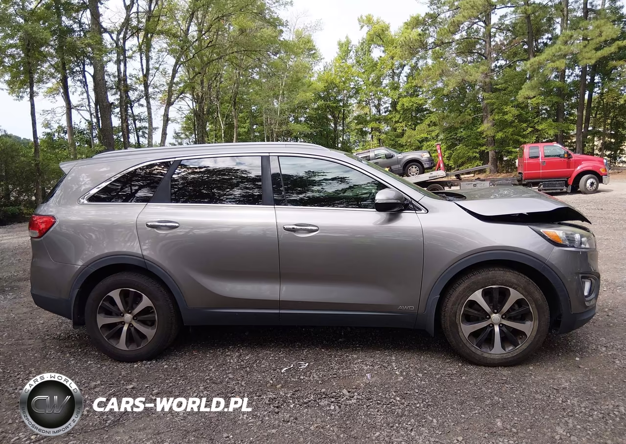 2017 Kia Sorento 2.0T Ex VIN:5XYPHDA17HG188902 - 13