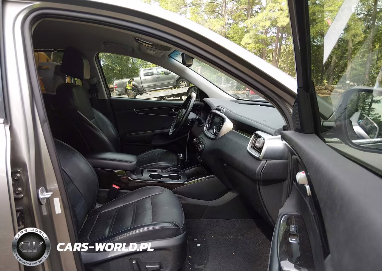 2017 Kia Sorento 2.0T Ex VIN:5XYPHDA17HG188902 - 5