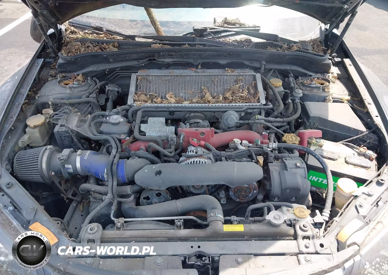 2010 Subaru Impreza Wrx Sti VIN:JF1GR8H62AL811042 - 10
