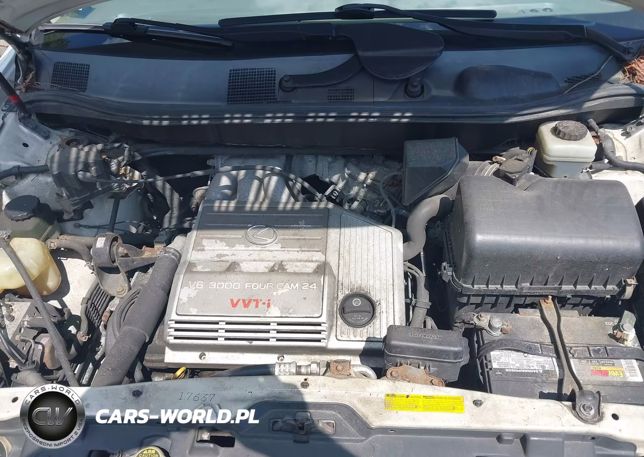 2002 Lexus Rx 300 VIN:JTJHF10U920279197 - 10