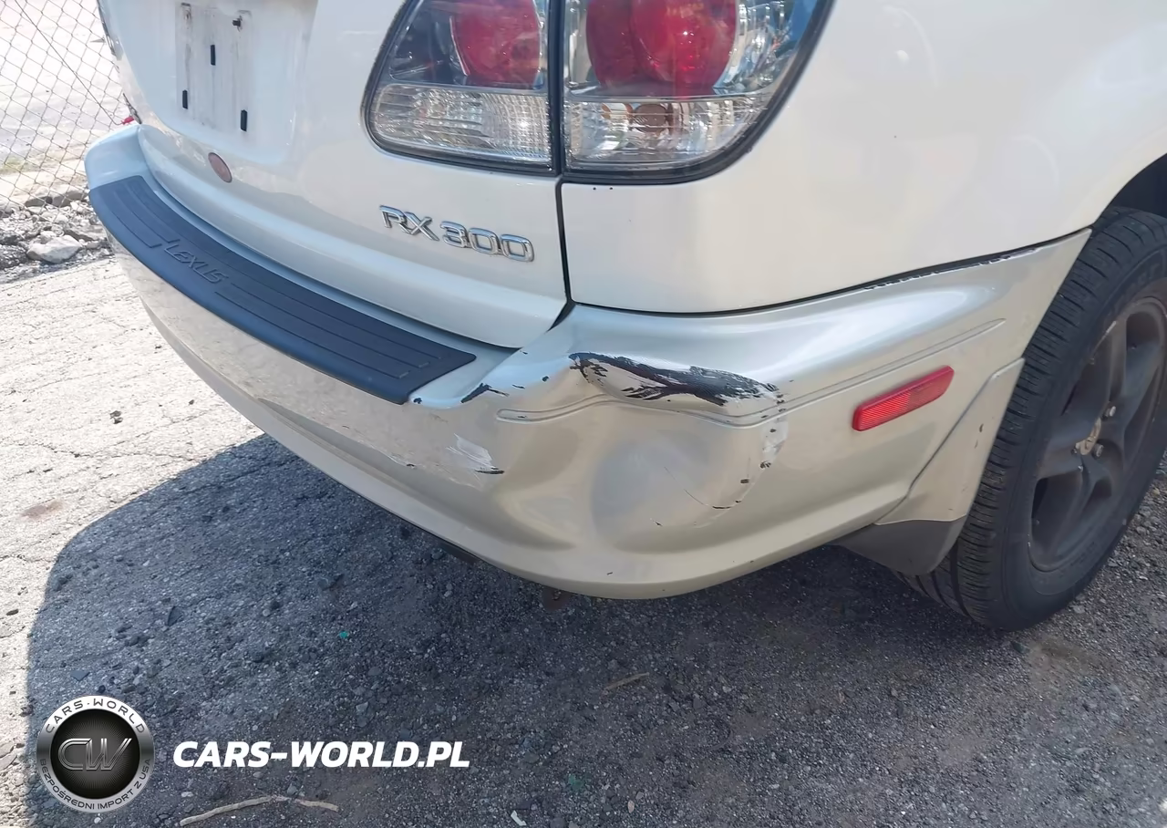 2002 Lexus Rx 300 VIN:JTJHF10U920279197 - 6