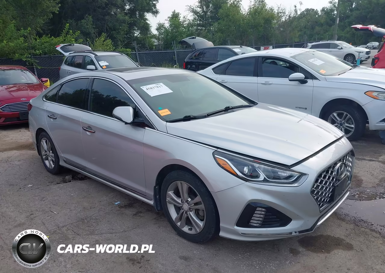 2019 Hyundai Sonata Sport VIN:5NPE34AF8KH780665 - 1