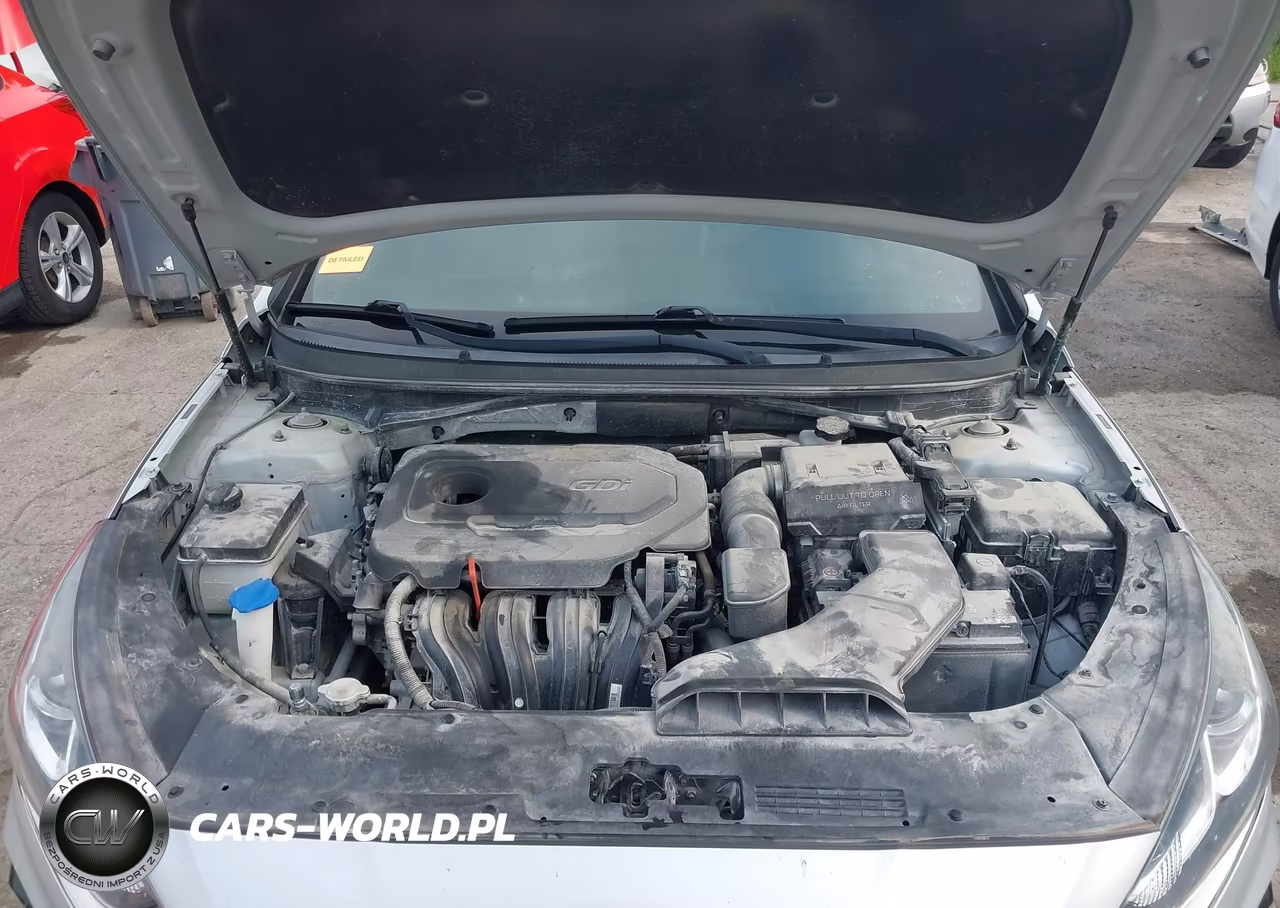 2019 Hyundai Sonata Sport VIN:5NPE34AF8KH780665 - 10