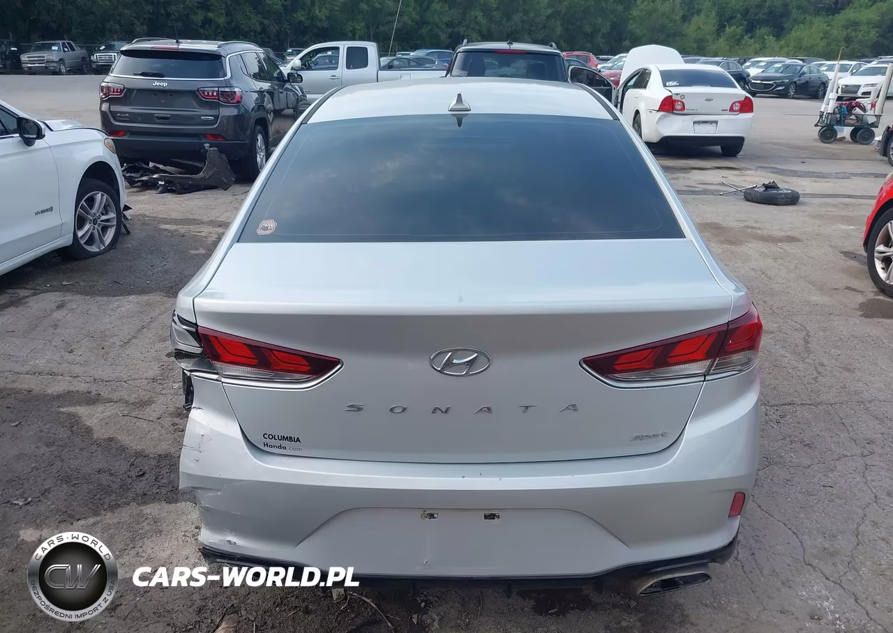2019 Hyundai Sonata Sport VIN:5NPE34AF8KH780665 - 17