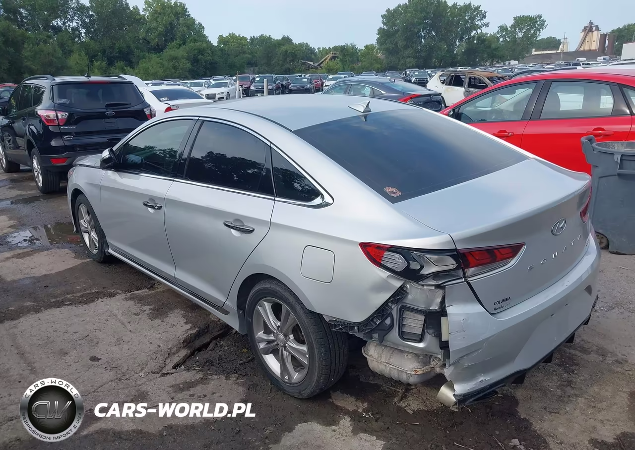 2019 Hyundai Sonata Sport VIN:5NPE34AF8KH780665 - 3