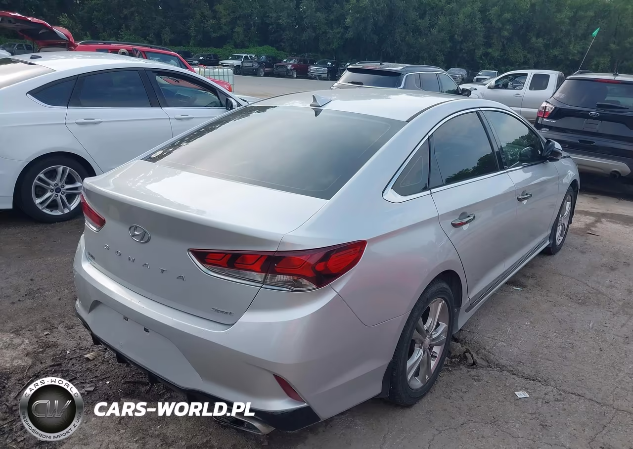 2019 Hyundai Sonata Sport VIN:5NPE34AF8KH780665 - 4