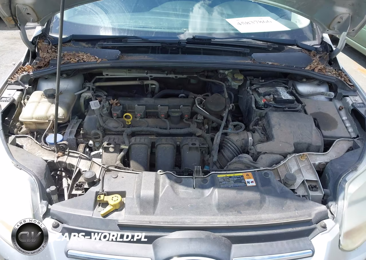 2014 Ford Focus Se VIN:1FADP3K2XEL225423 - 10