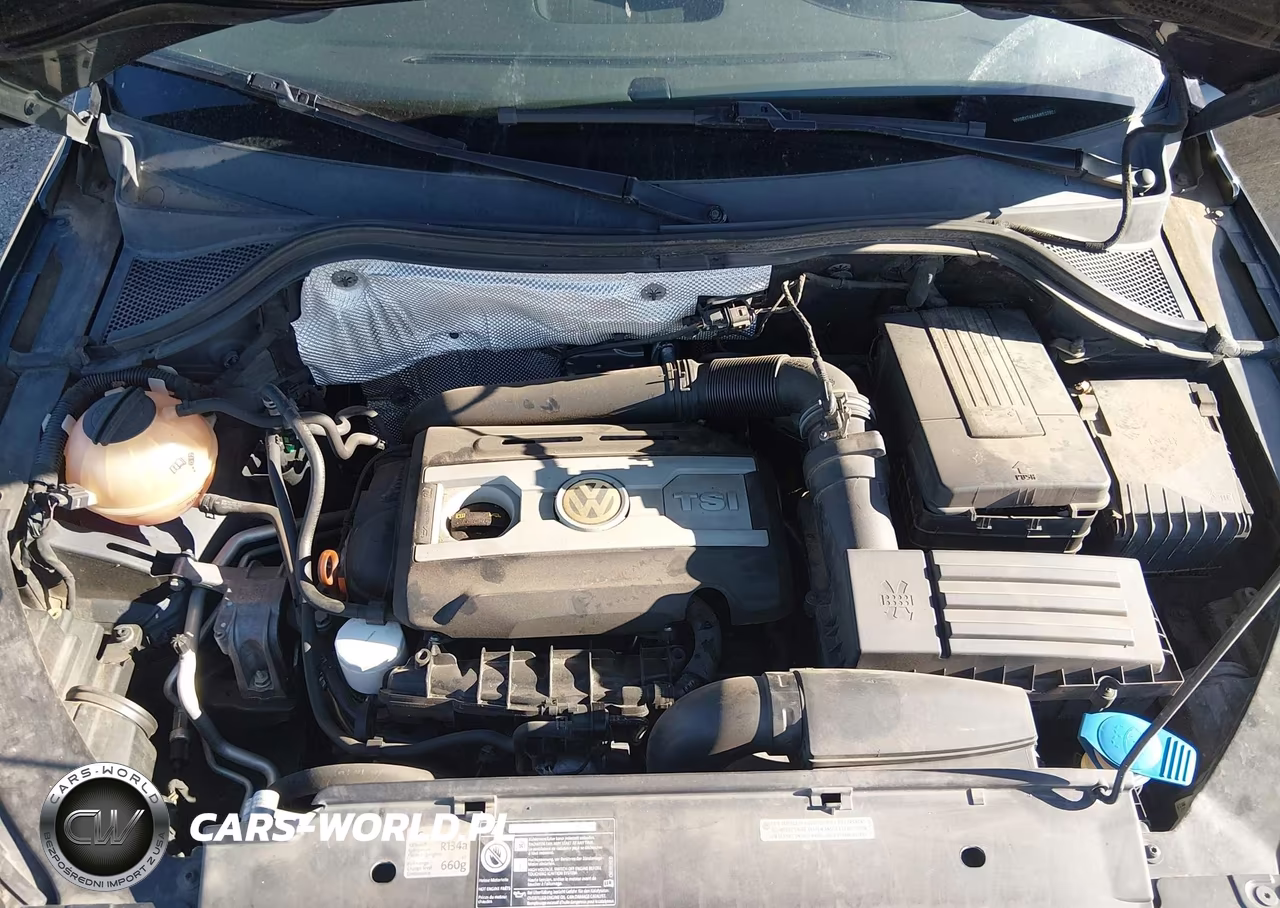 2010 Volkswagen Tiguan VIN:WVGBV7AX4AW527824 - 10