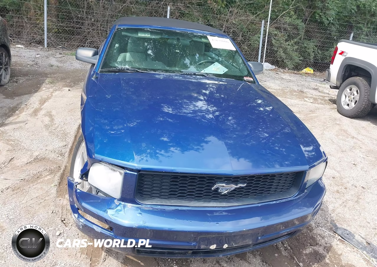 2008 Ford Mustang V6 Deluxe-V6 Premium VIN:1ZVHT84N585146016 - 12