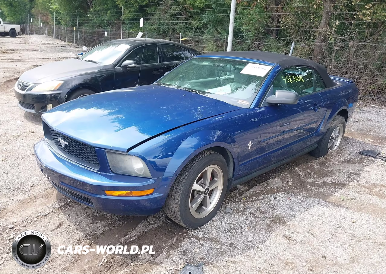 2008 Ford Mustang V6 Deluxe-V6 Premium VIN:1ZVHT84N585146016 - 2