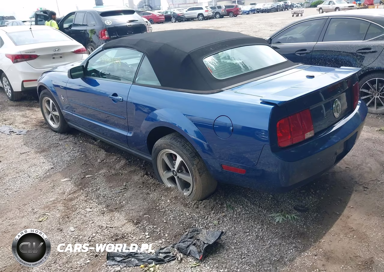 2008 Ford Mustang V6 Deluxe-V6 Premium VIN:1ZVHT84N585146016 - 3