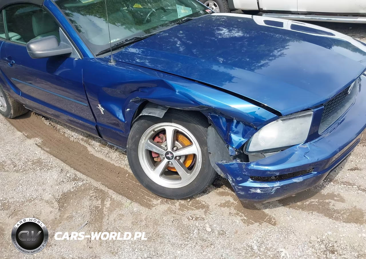 2008 Ford Mustang V6 Deluxe-V6 Premium VIN:1ZVHT84N585146016 - 6