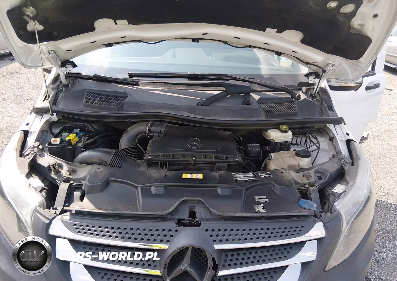 2016 Mercedes-Benz Metris VIN:WD4PG2EE1G3137750 - 10