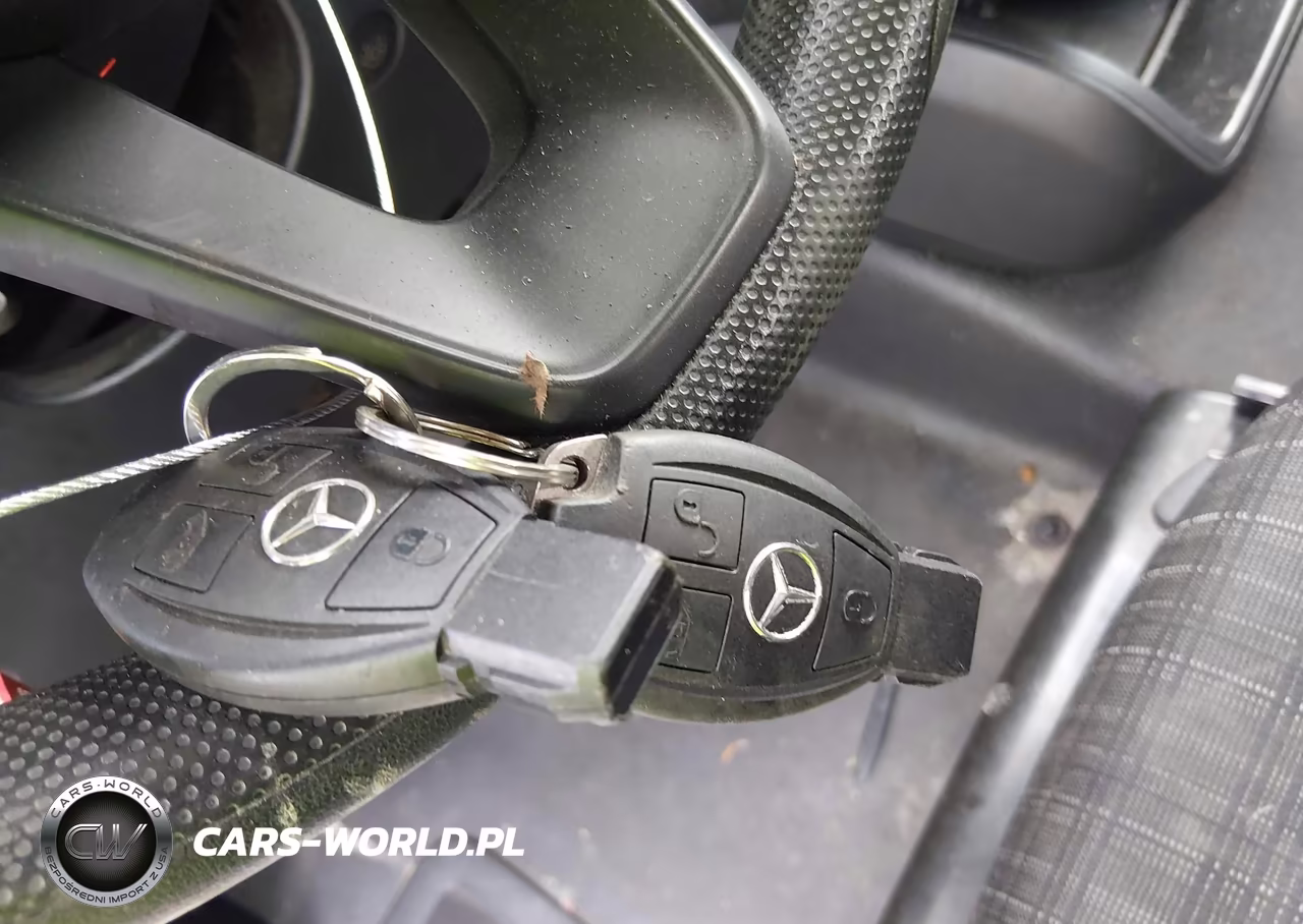 2016 Mercedes-Benz Metris VIN:WD4PG2EE1G3137750 - 11