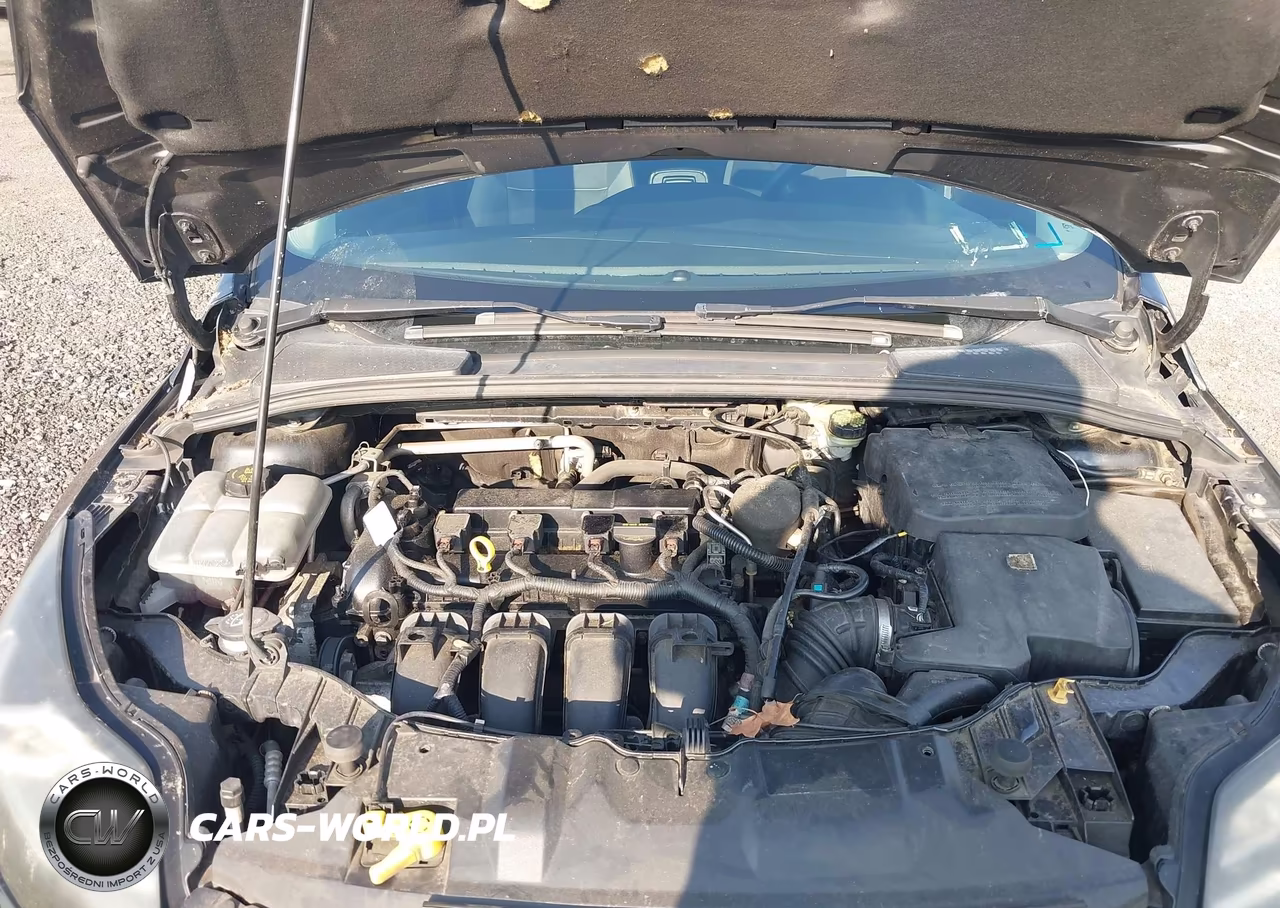 2014 Ford Focus Se VIN:1FADP3F22EL153997 - 10