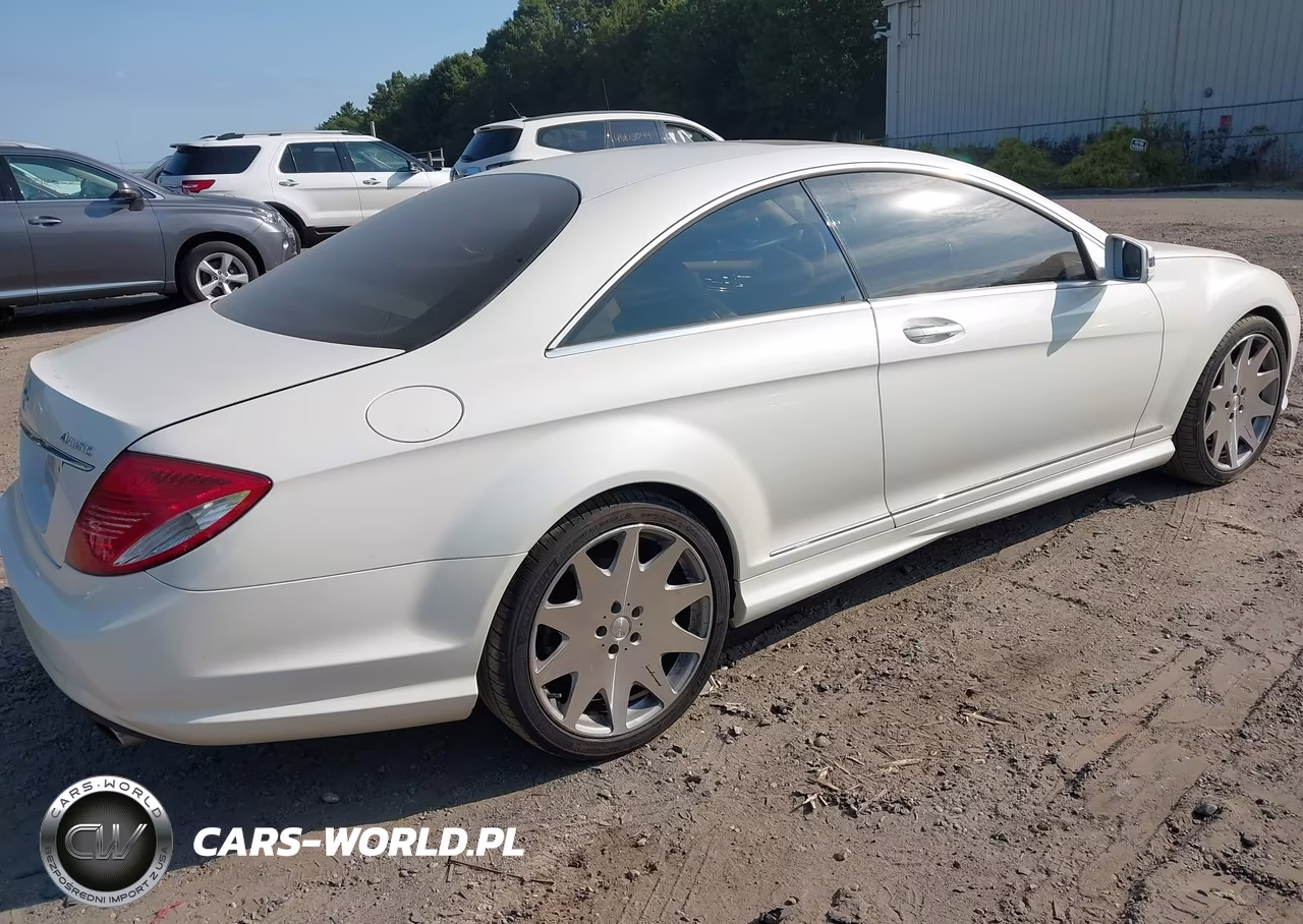 2010 Mercedes-Benz Cl 550 4Matic VIN:WDDEJ8GB8AA024976 - 4