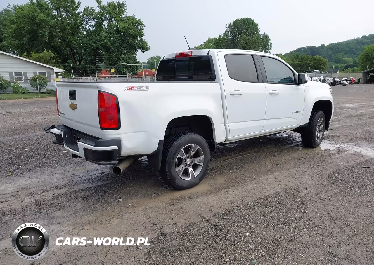 2016 Chevrolet Colorado Z71 VIN:1GCPTDE18G1338443 - 4