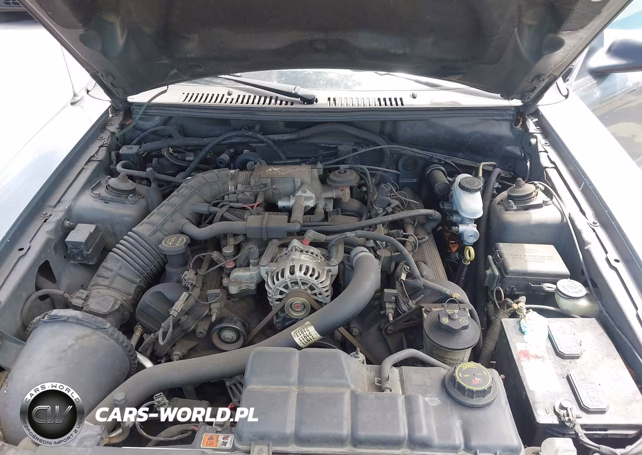 2004 Ford Mustang Gt VIN:1FAFP42X54F160990 - 10
