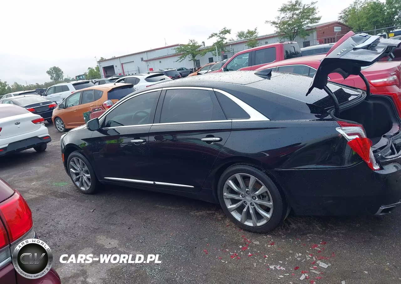 2016 Cadillac Xts Luxury Collection VIN:2G61M5S3XG9117519 - 14