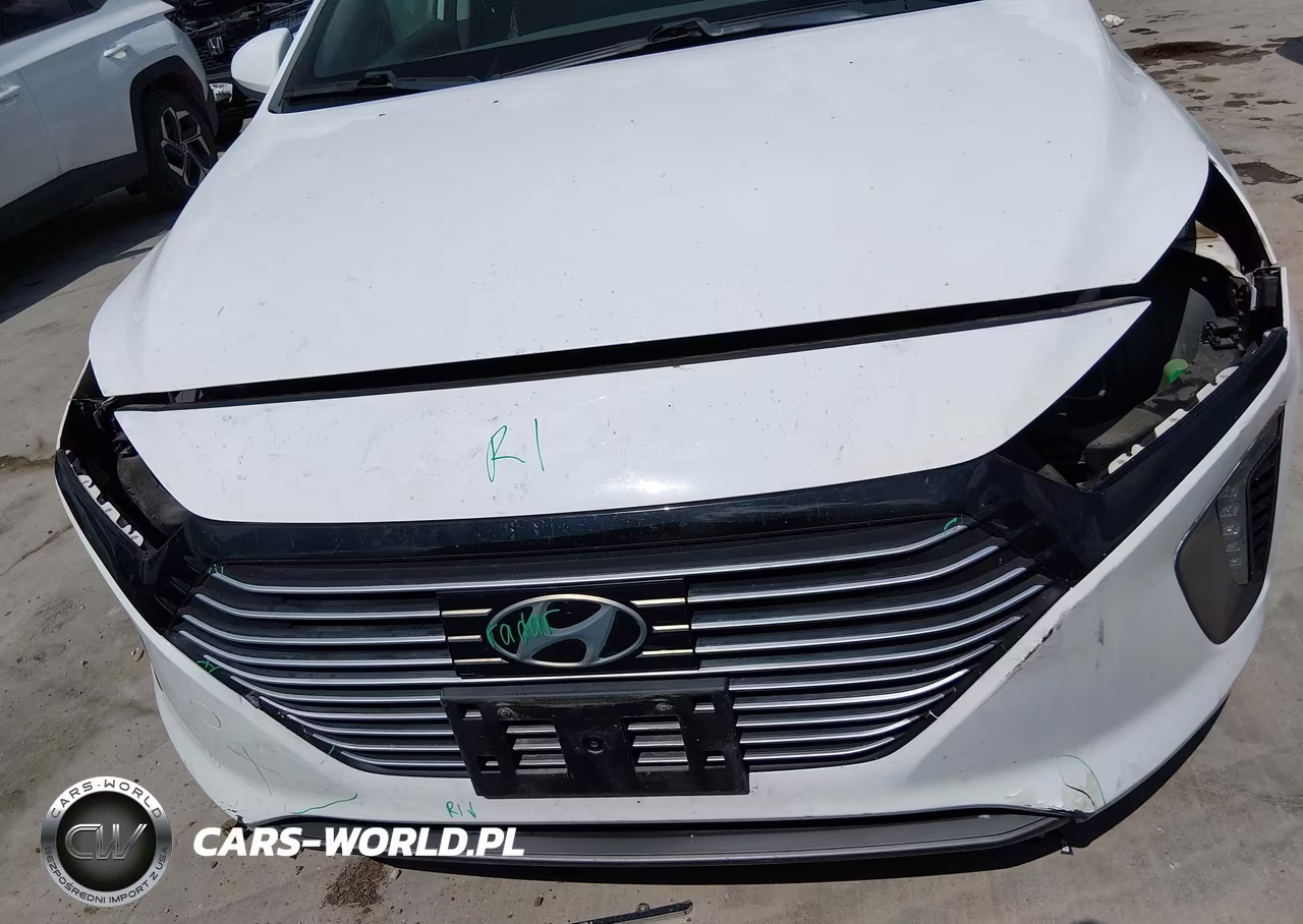 2019 Hyundai Ioniq Hybrid Limited VIN:KMHC85LC9KU115826 - 13