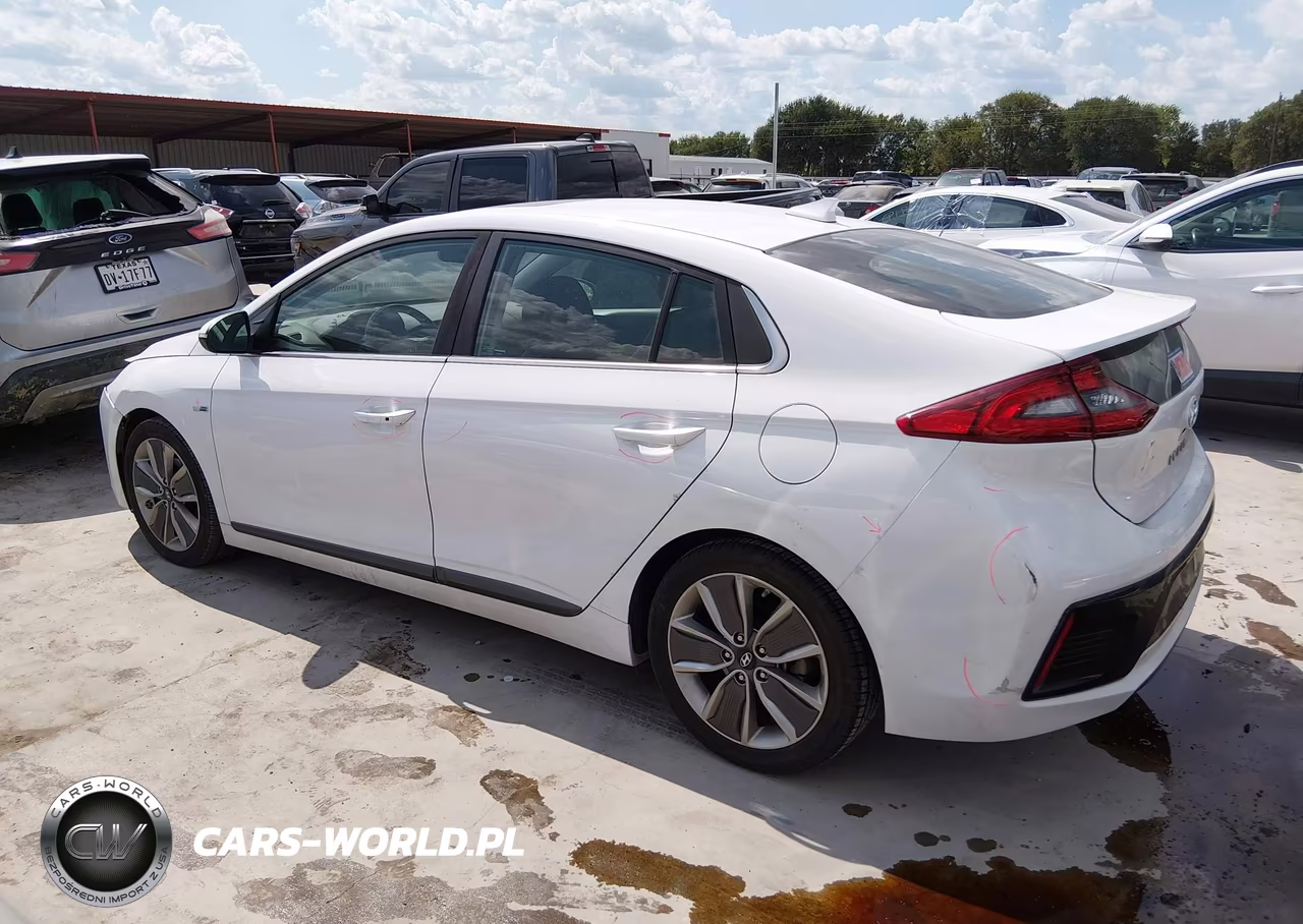 2019 Hyundai Ioniq Hybrid Limited VIN:KMHC85LC9KU115826 - 15