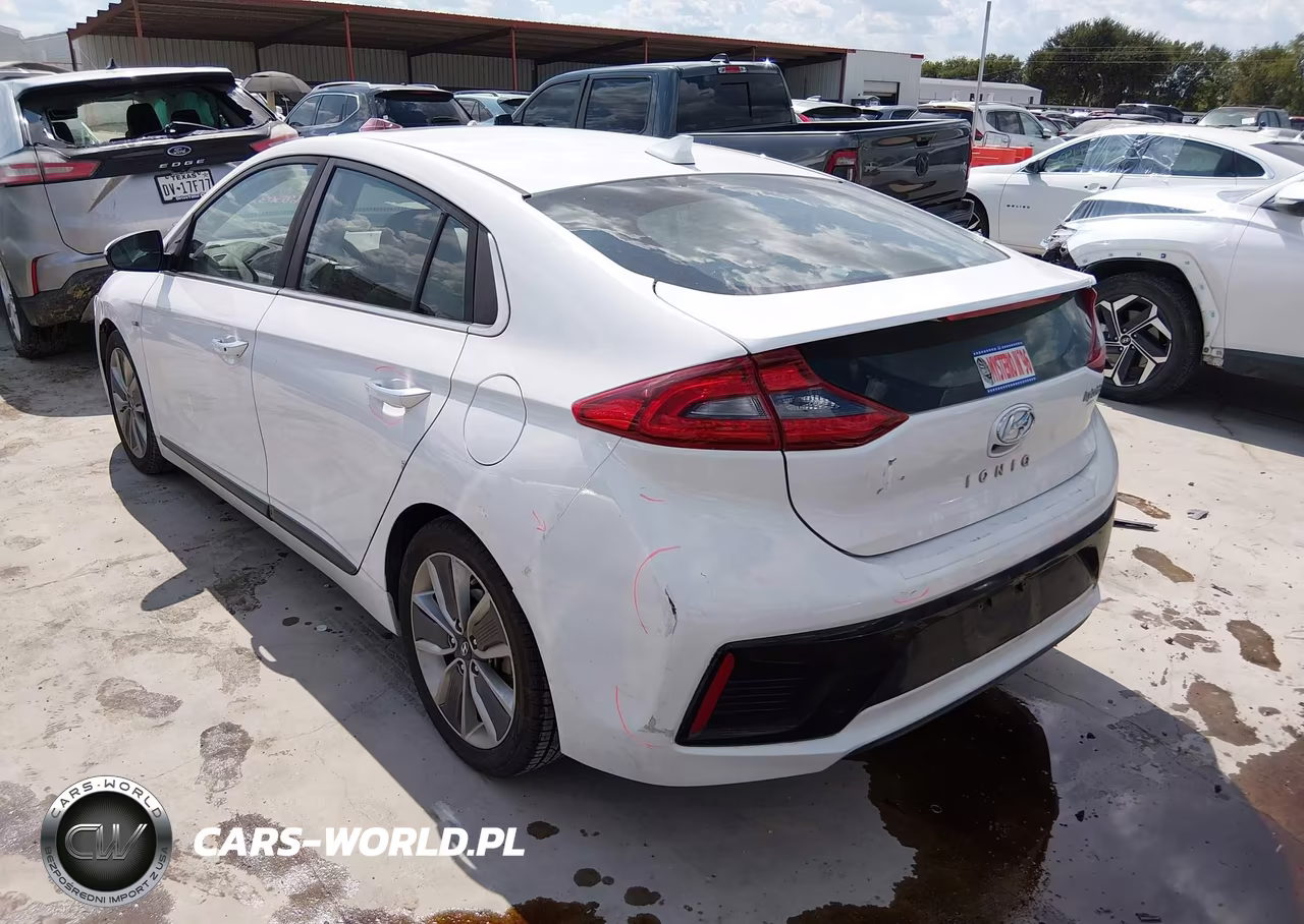 2019 Hyundai Ioniq Hybrid Limited VIN:KMHC85LC9KU115826 - 3