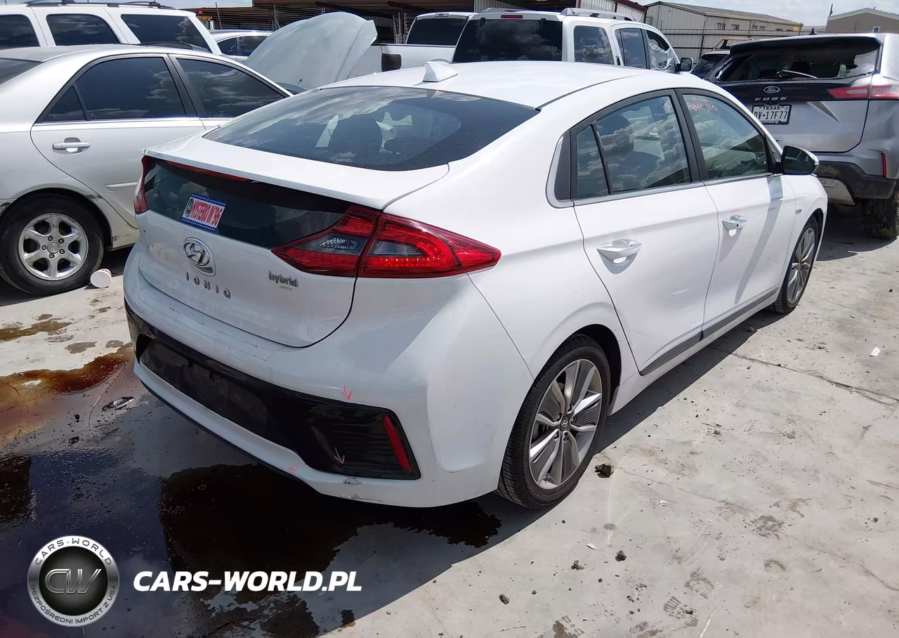 2019 Hyundai Ioniq Hybrid Limited VIN:KMHC85LC9KU115826 - 4