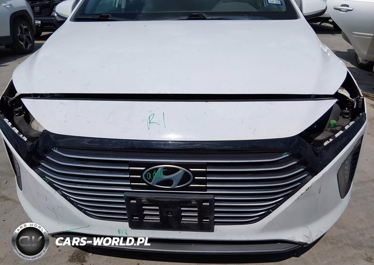 2019 Hyundai Ioniq Hybrid Limited VIN:KMHC85LC9KU115826 - 6