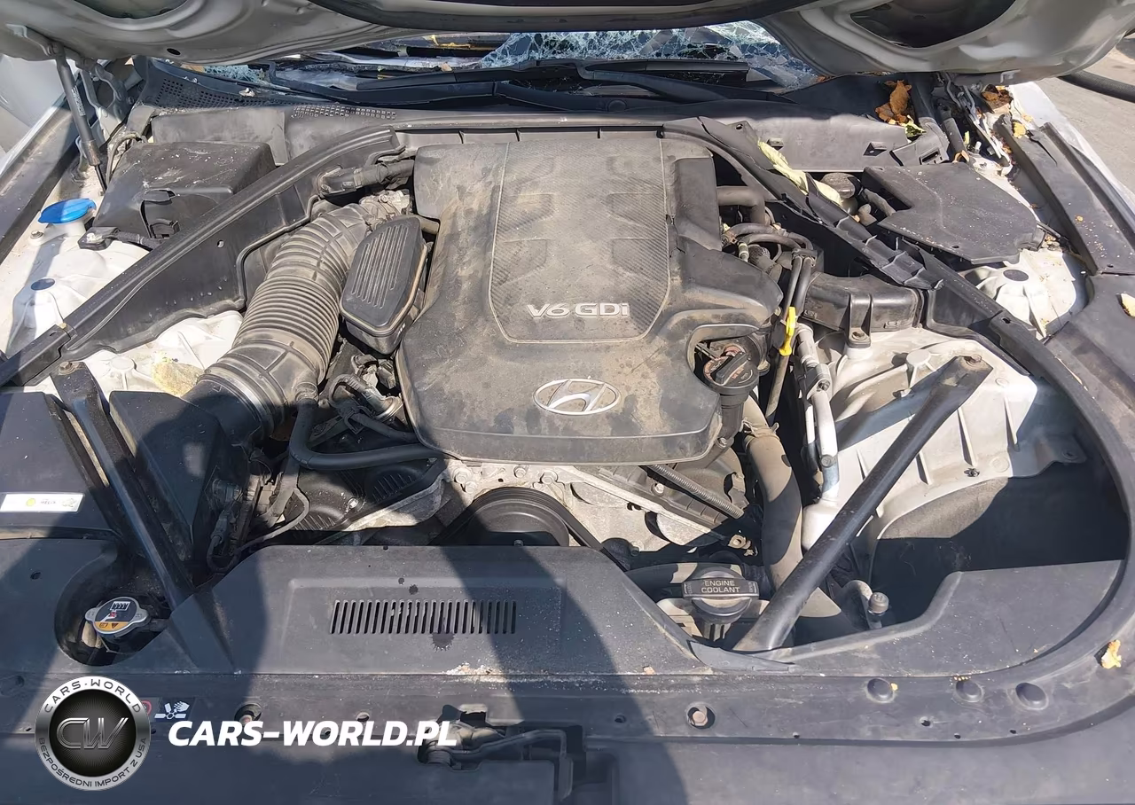2015 Hyundai Genesis 3.8 VIN:KMHGN4JE4FU050768 - 10