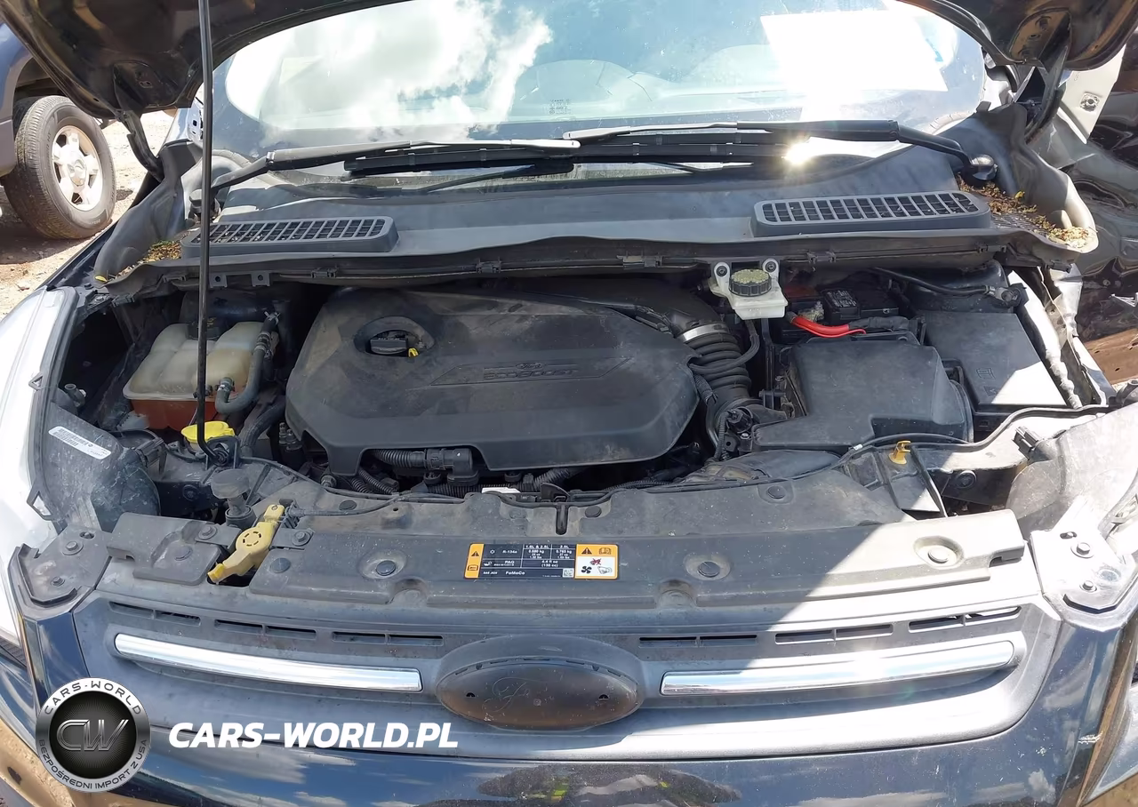 2014 Ford Escape Se VIN:1FMCU0GX8EUC84011 - 10