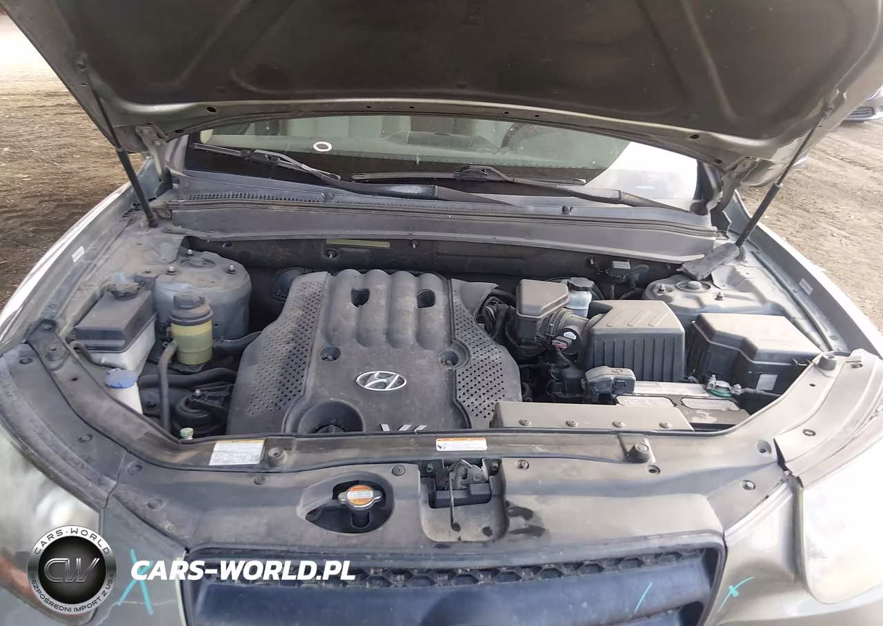 2008 Hyundai Santa Fe Gls VIN:5NMSG13D98H185458 - 10
