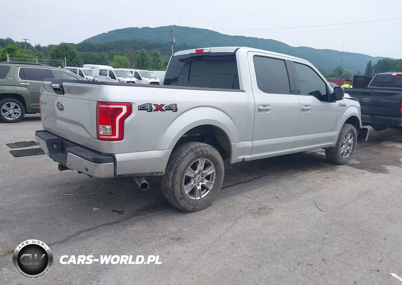 2016 Ford F-150 Xlt VIN:1FTEW1EP2GFC33790 - 4