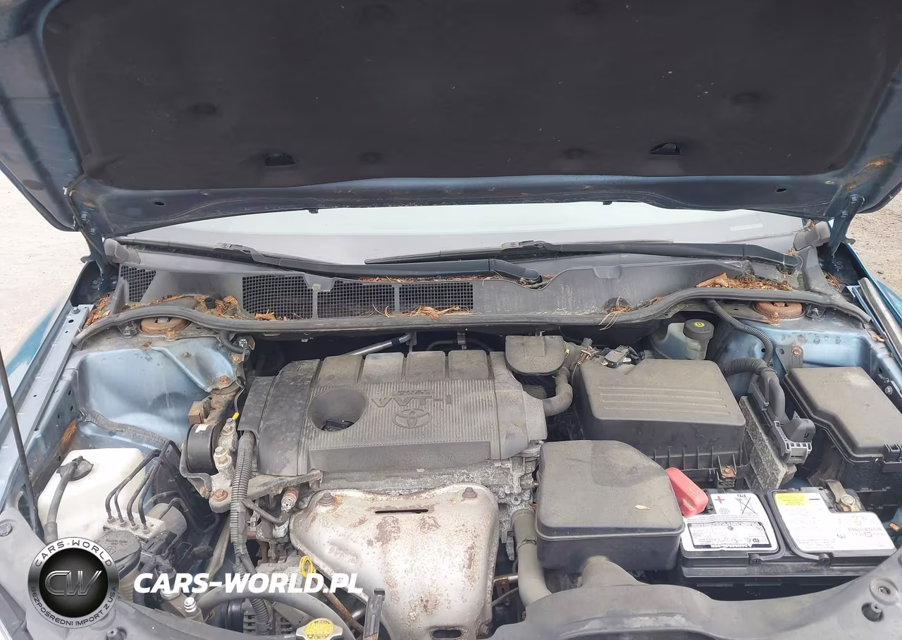 2010 Toyota Venza VIN:4T3BA3BB3AU011139 - 10