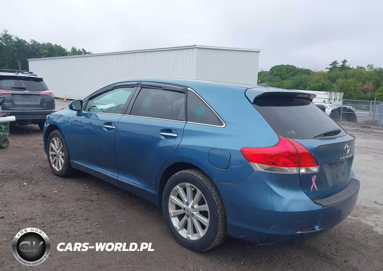 2010 Toyota Venza VIN:4T3BA3BB3AU011139 - 3