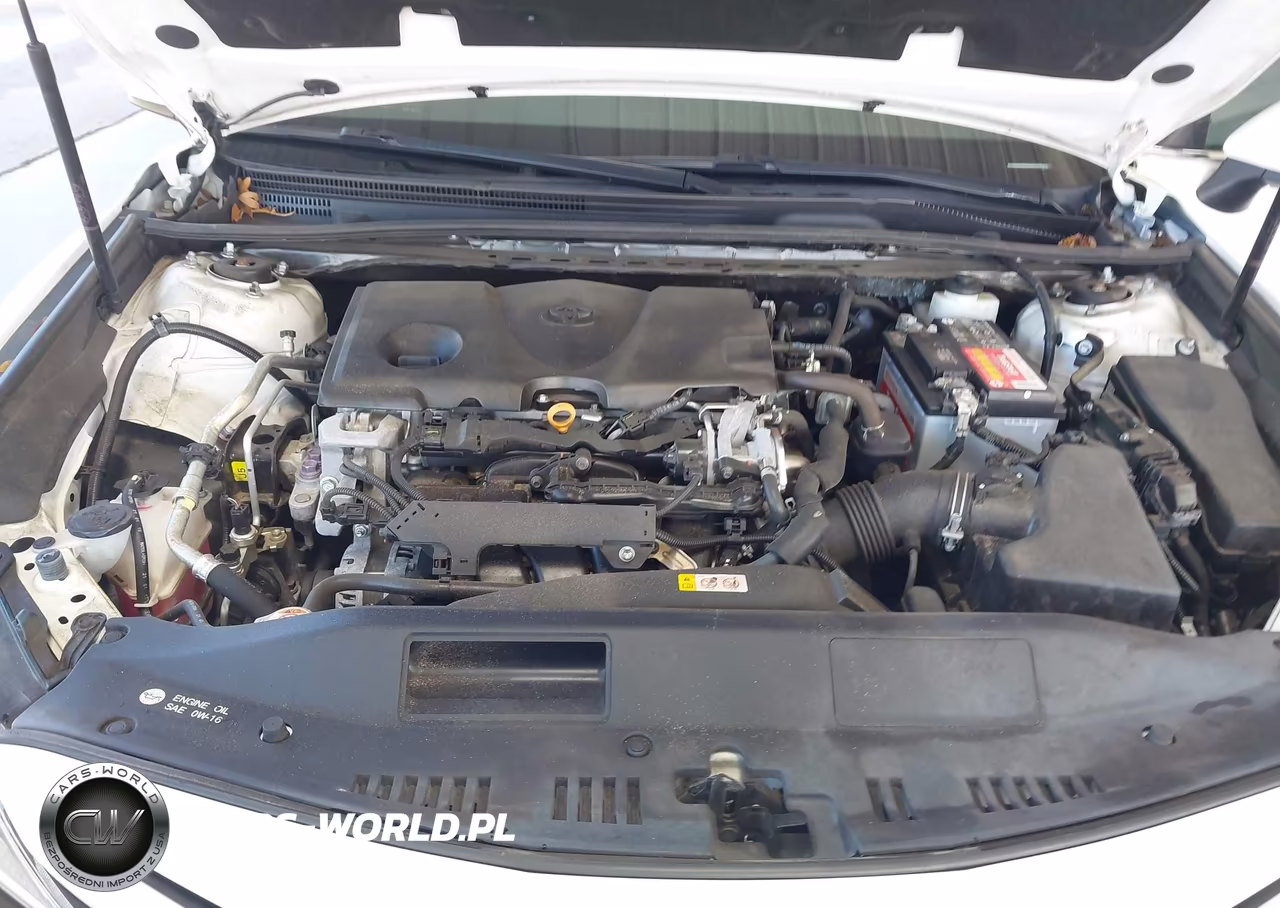 2019 Toyota Camry Se VIN:4T1B11HK0KU838487 - 10