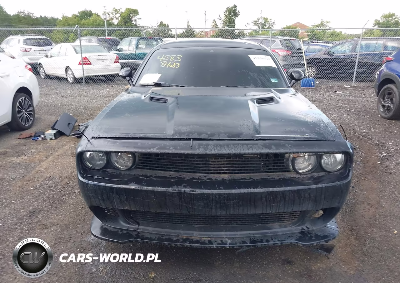 2009 Dodge Challenger R-T VIN:2B3LJ54T89H525555 - 12