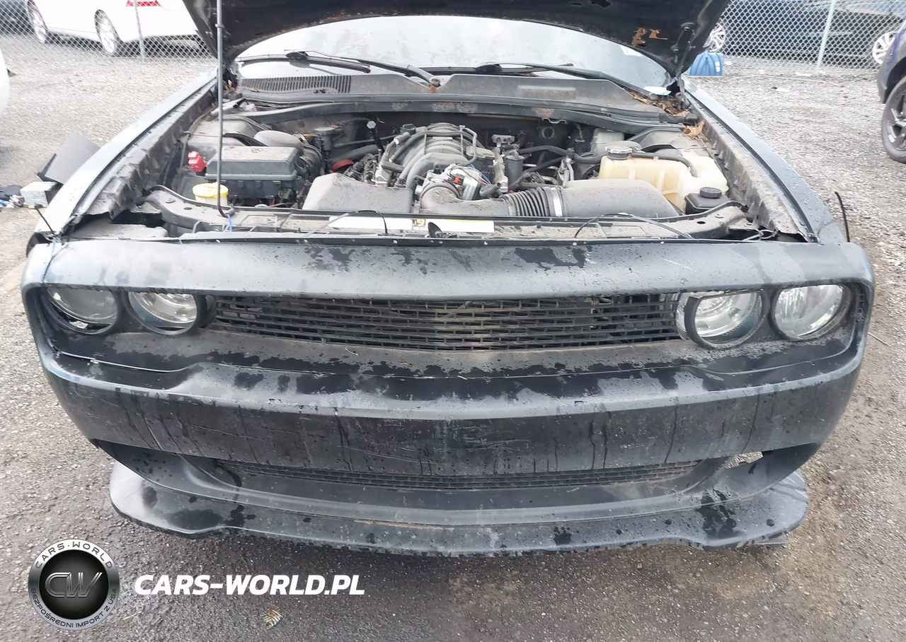 2009 Dodge Challenger R-T VIN:2B3LJ54T89H525555 - 17