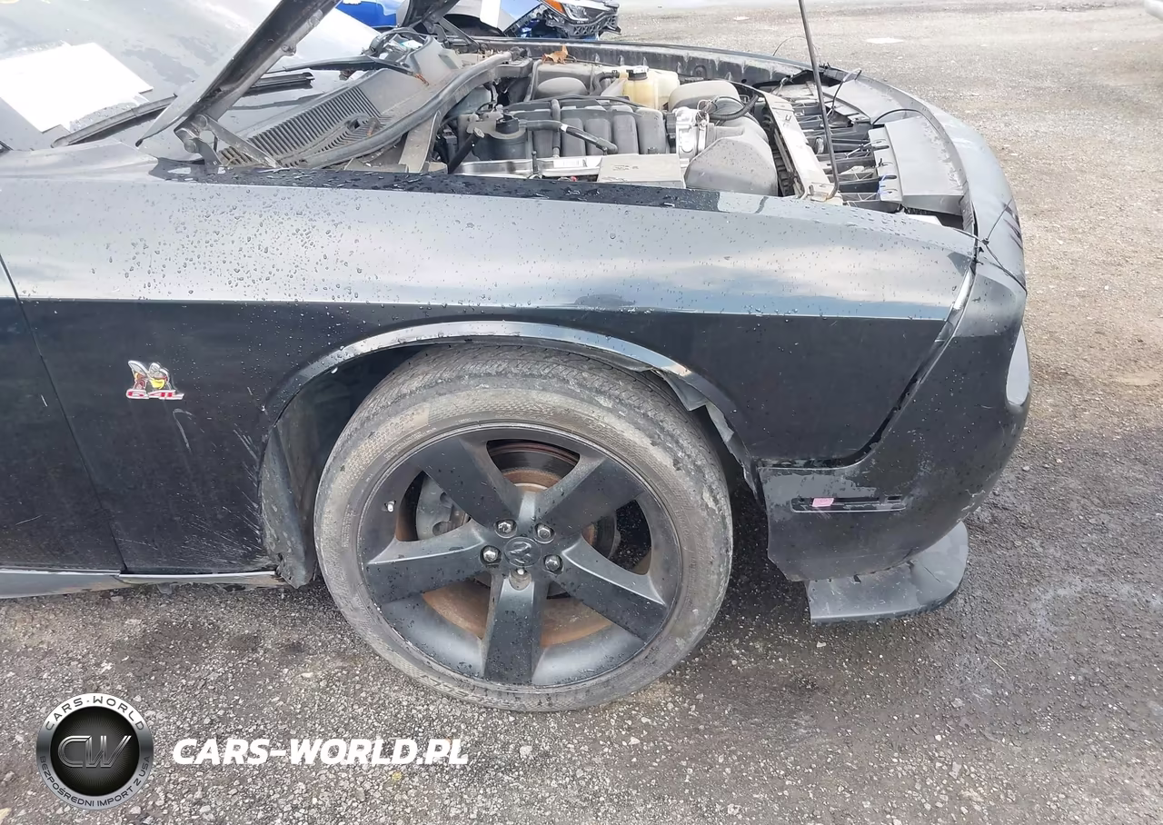2009 Dodge Challenger R-T VIN:2B3LJ54T89H525555 - 18