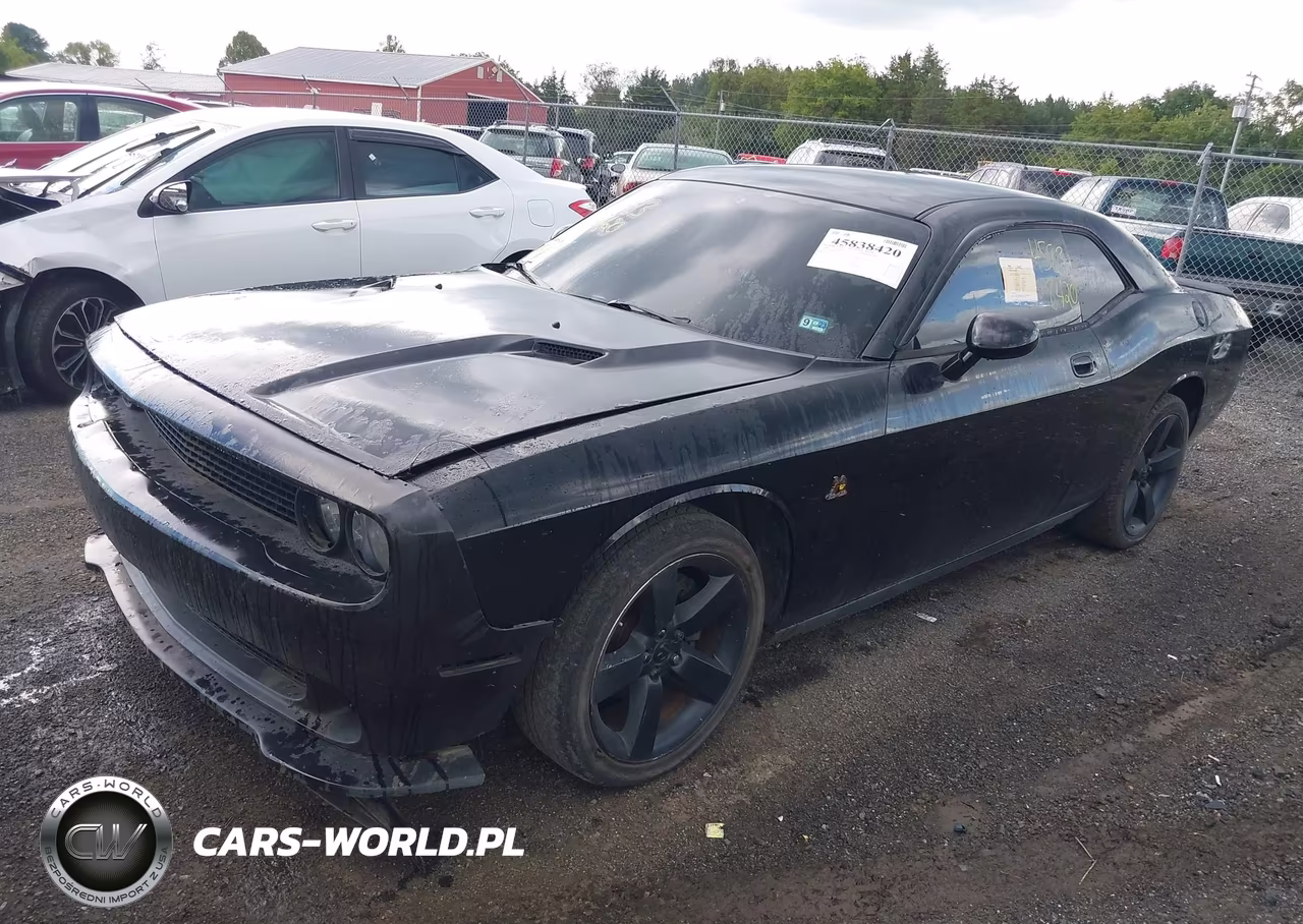 2009 Dodge Challenger R-T VIN:2B3LJ54T89H525555 - 2