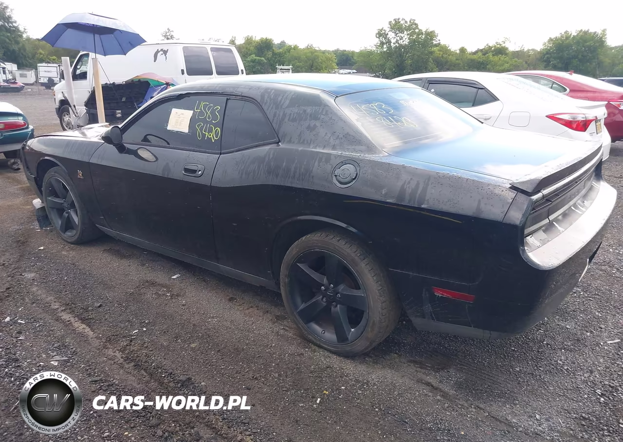 2009 Dodge Challenger R-T VIN:2B3LJ54T89H525555 - 3