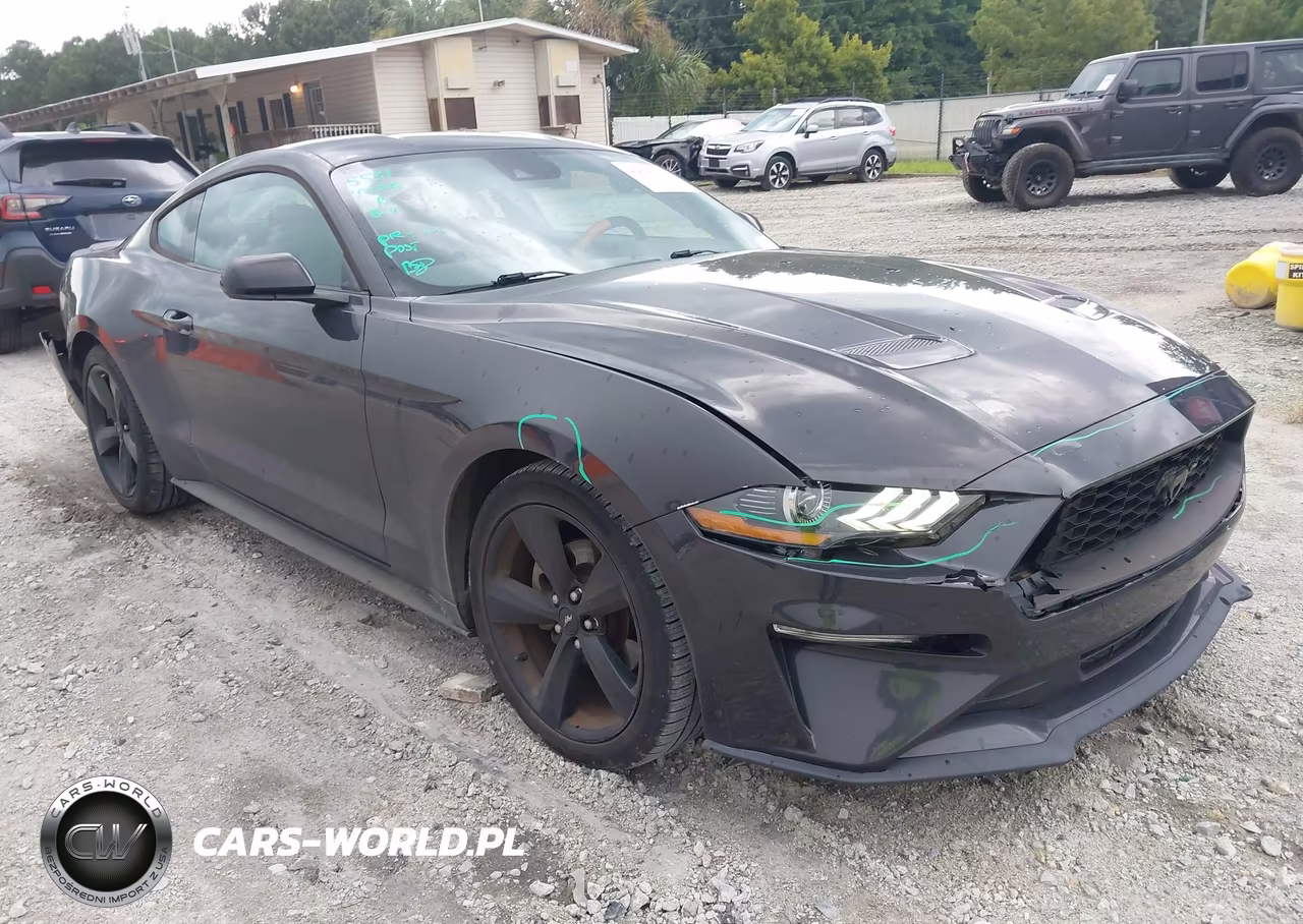 2022 Ford Mustang Ecoboost Fastback – zdjęcie 1 z 16