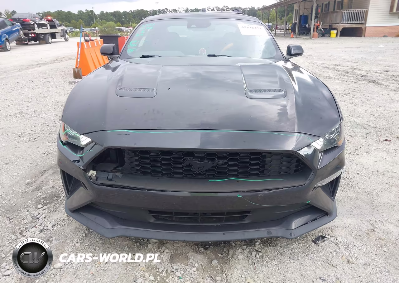 2022 Ford Mustang Ecoboost Fastback VIN:1FA6P8TH9N5113564 - 12