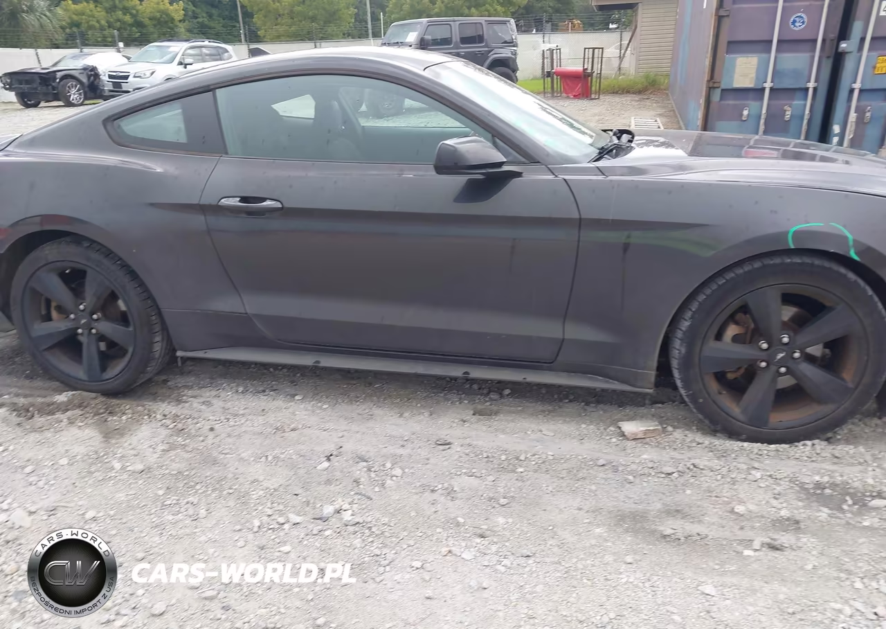 2022 Ford Mustang Ecoboost Fastback VIN:1FA6P8TH9N5113564 - 13
