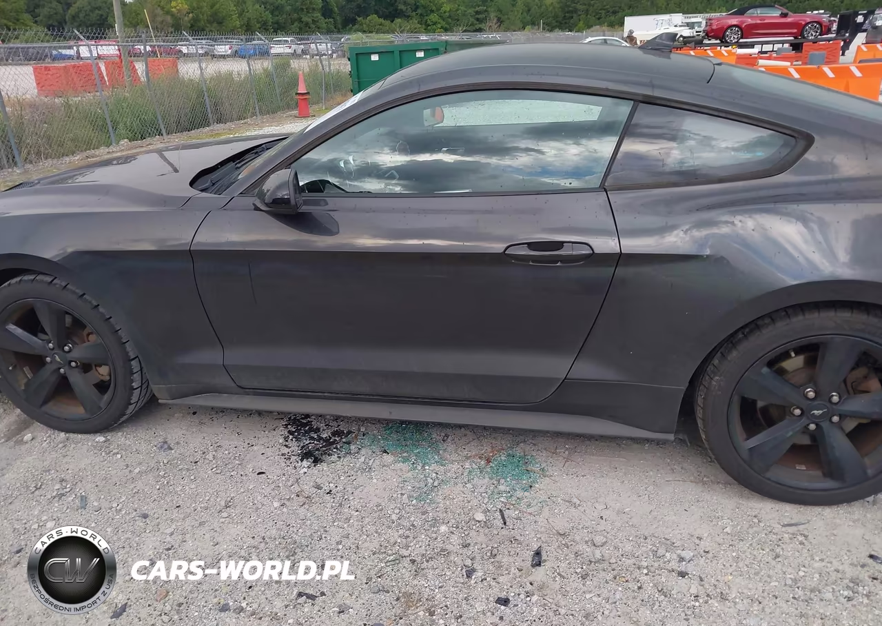 2022 Ford Mustang Ecoboost Fastback VIN:1FA6P8TH9N5113564 - 14