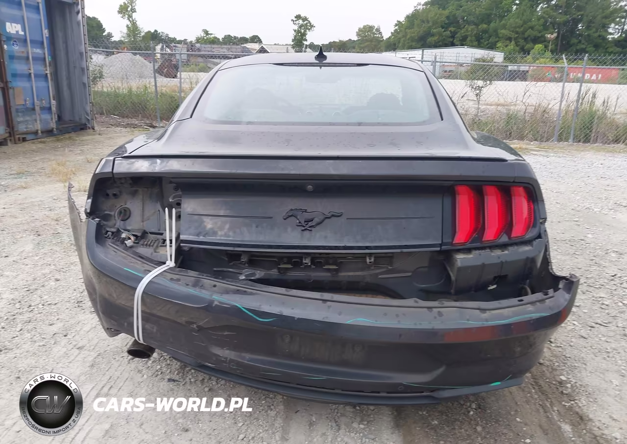 2022 Ford Mustang Ecoboost Fastback VIN:1FA6P8TH9N5113564 - 16