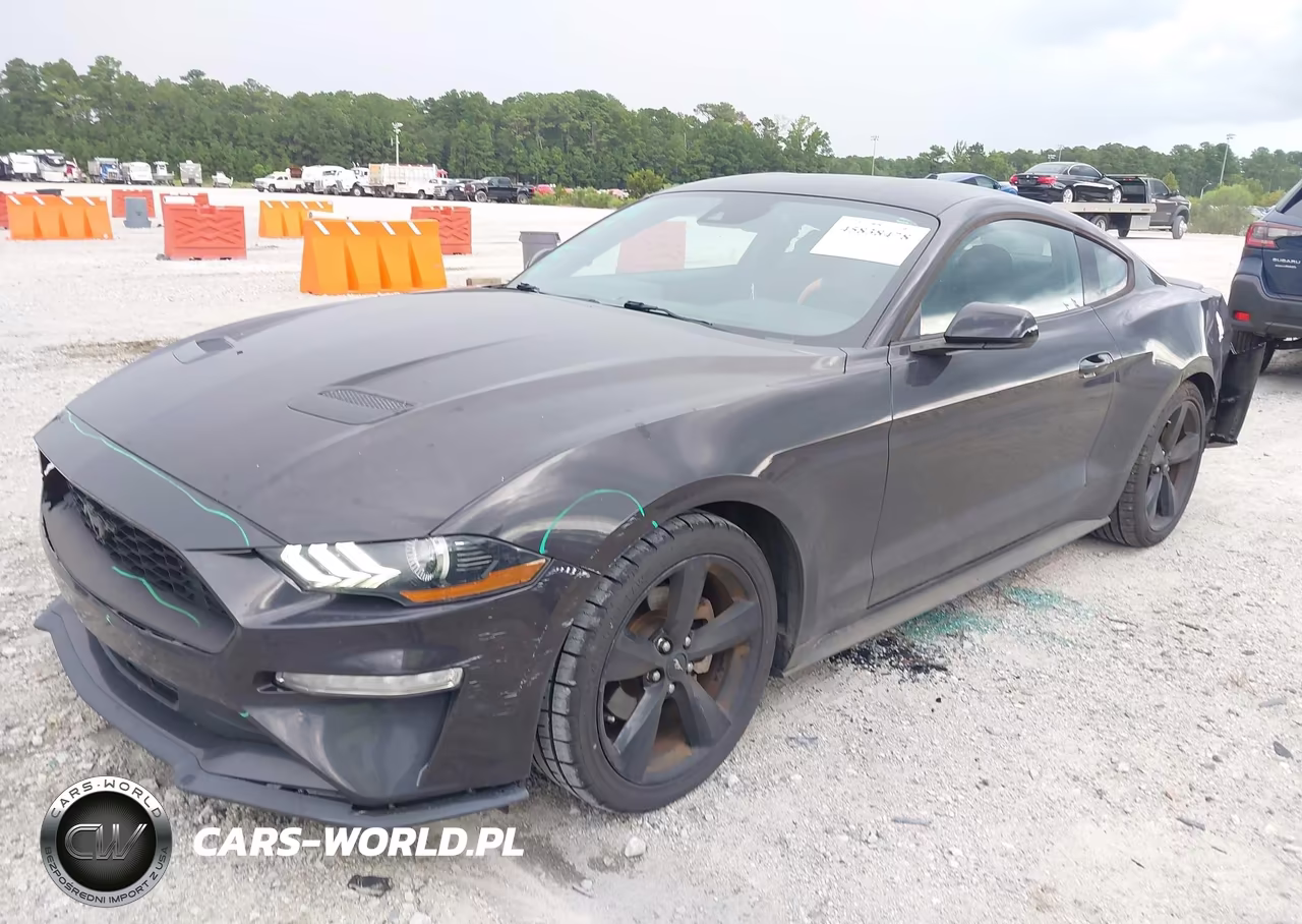 2022 Ford Mustang Ecoboost Fastback VIN:1FA6P8TH9N5113564 - 2