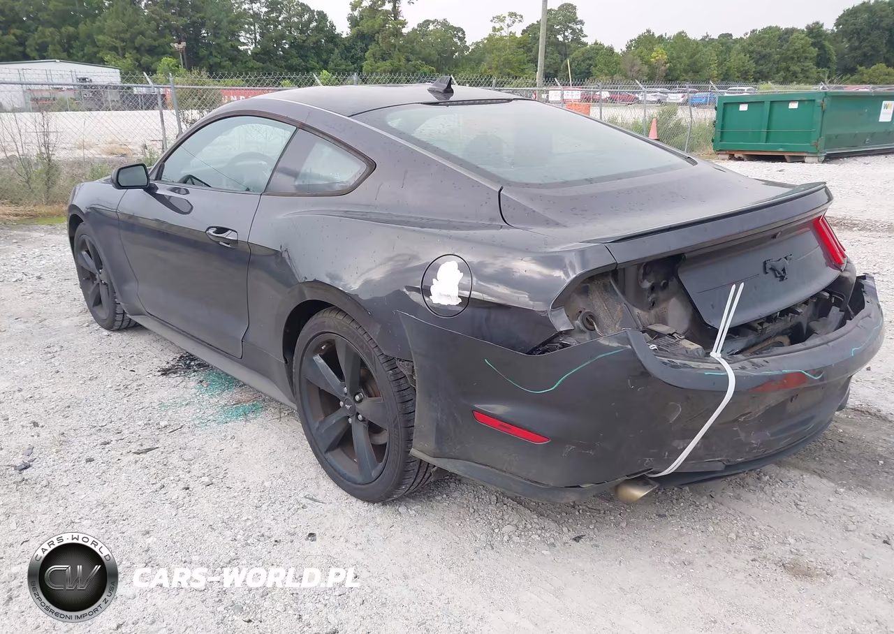 2022 Ford Mustang Ecoboost Fastback VIN:1FA6P8TH9N5113564 - 3